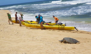 Na Pali Coast | Na Pali Iki - Polihale to Miloli'i & Back - by Sea Kayak