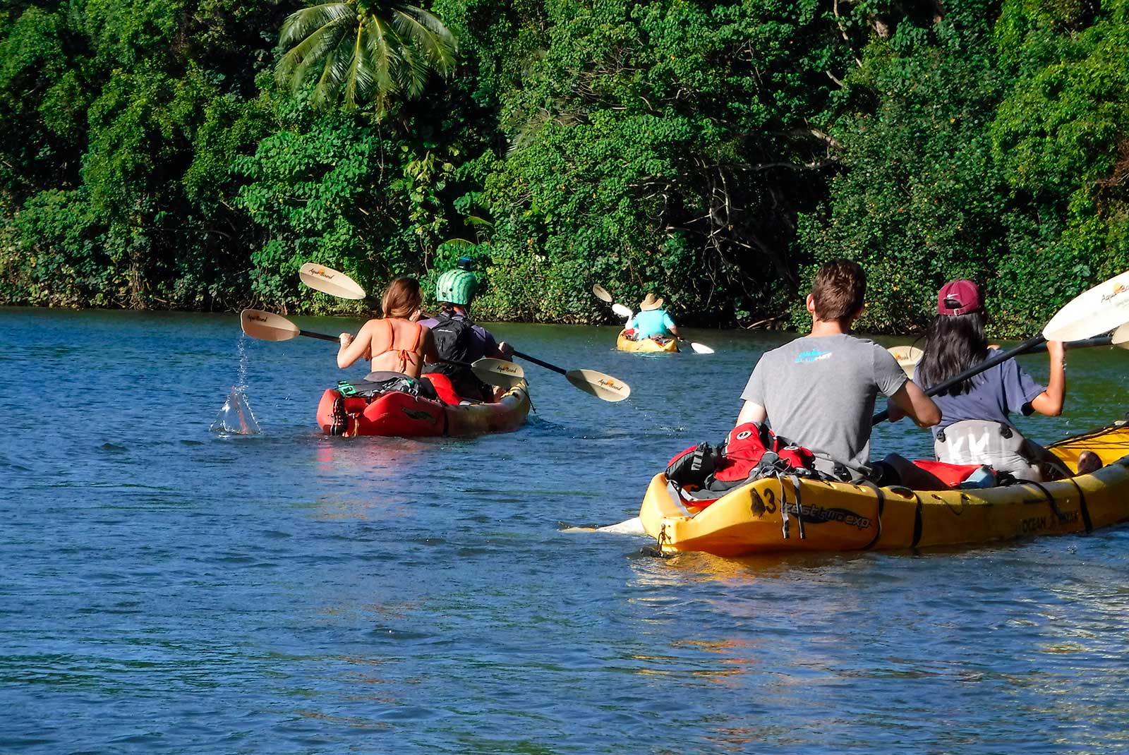 Kauai Wailua River Paddle