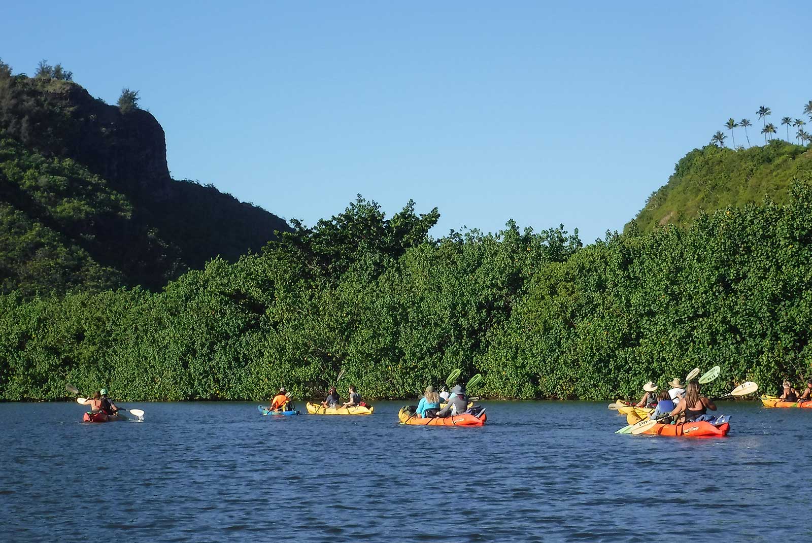 Wailua River Kayaking Tour