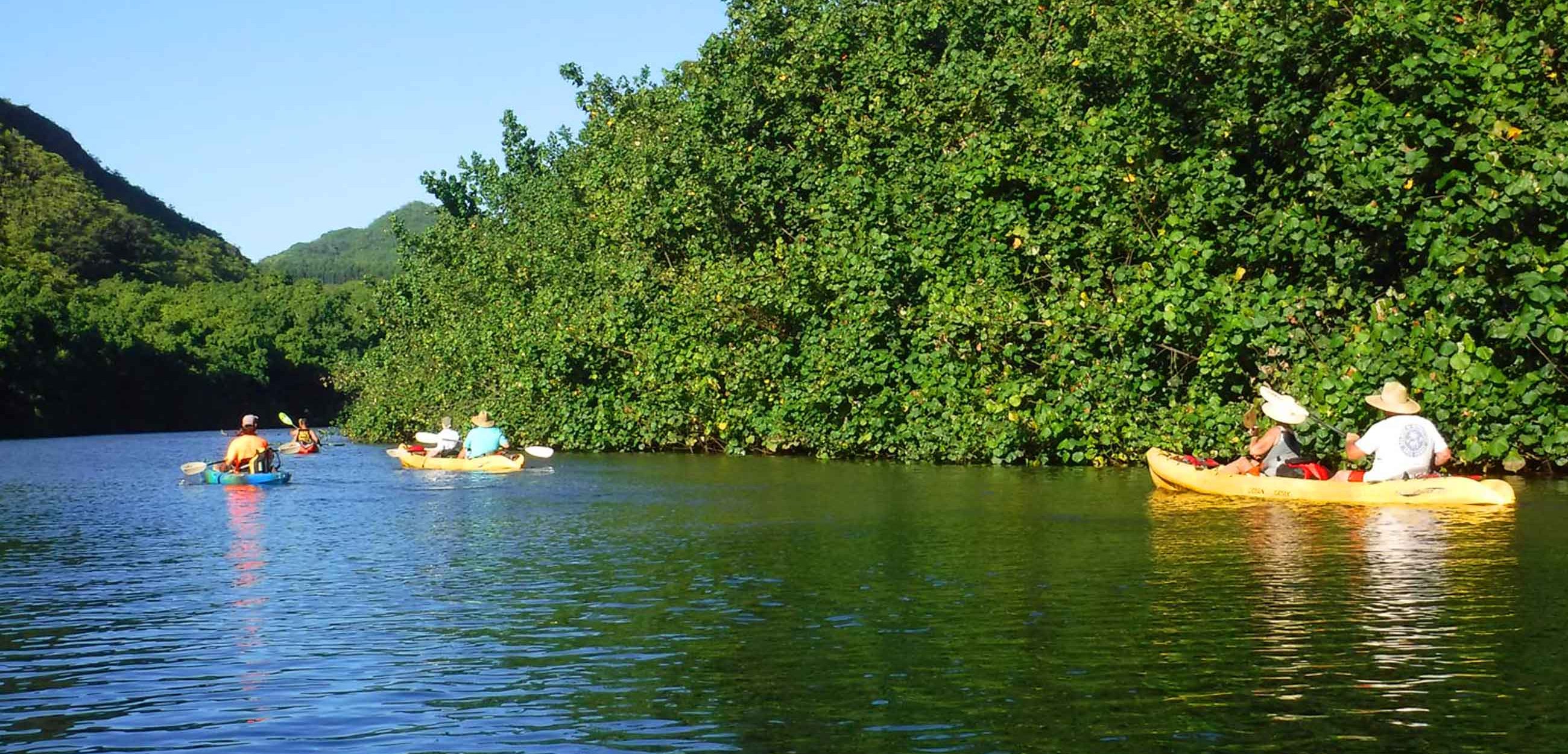 Wailua River Kayaking Tours