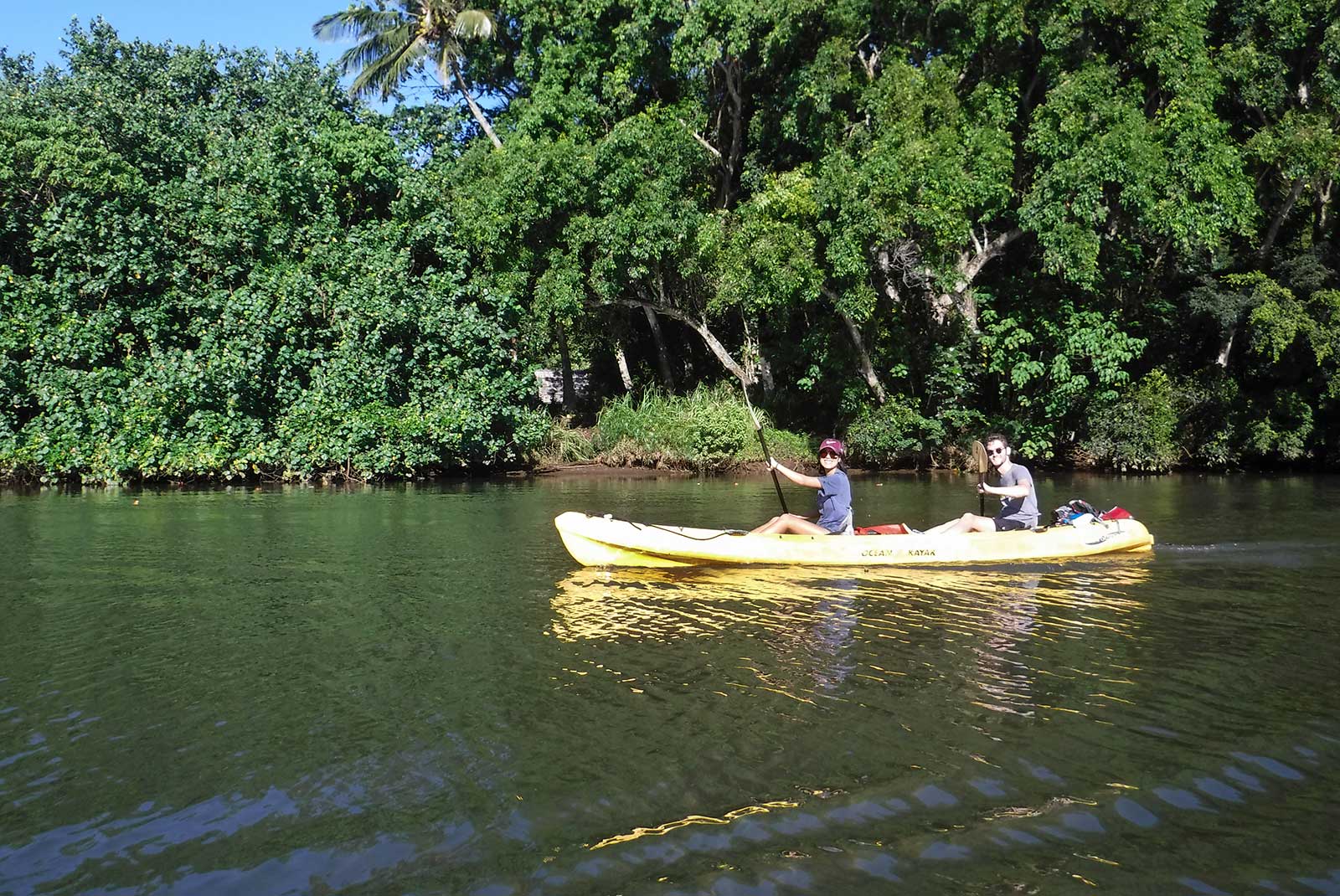 Wailua River Paddle Activity