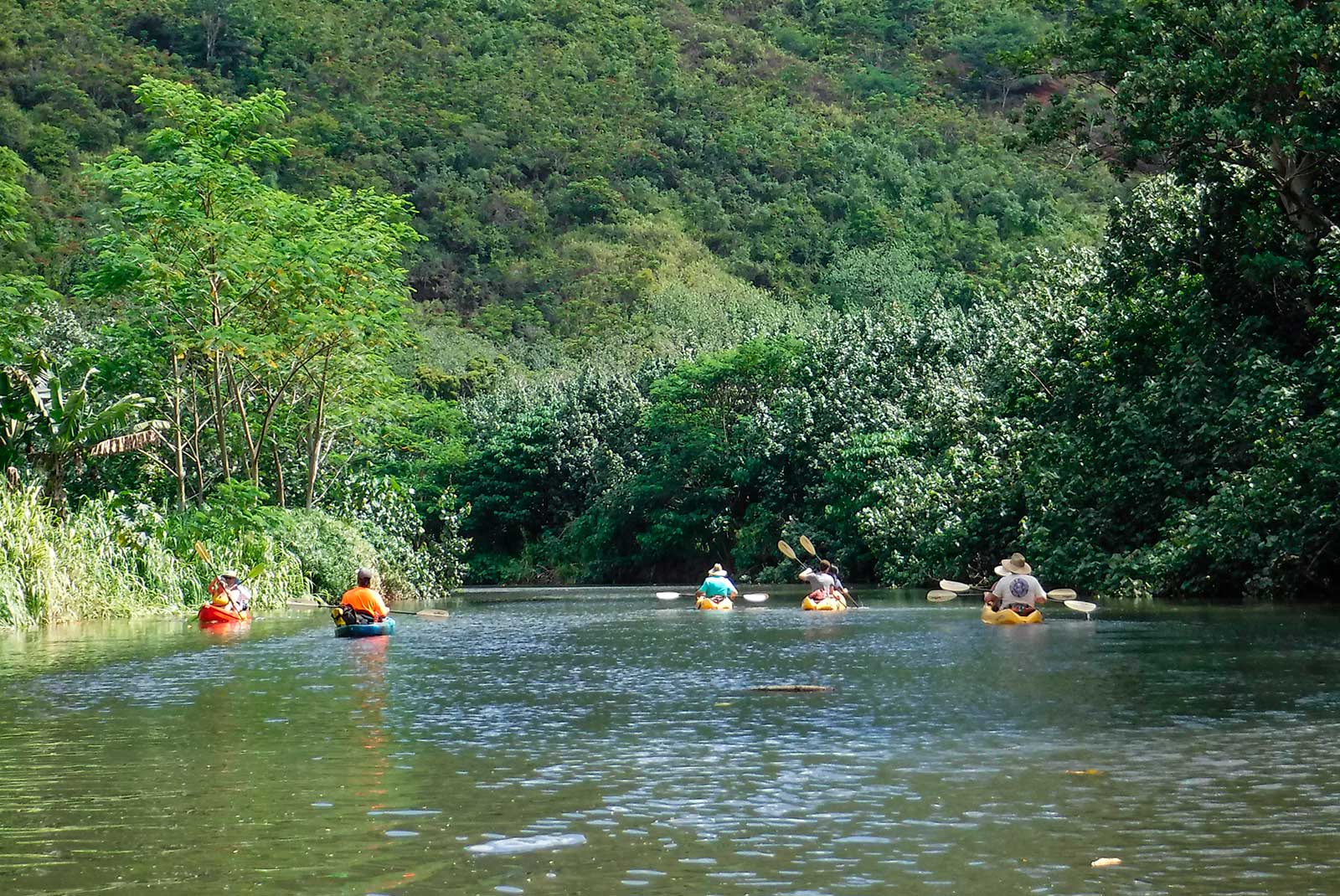 Wailua River Paddle Kayaking Tour