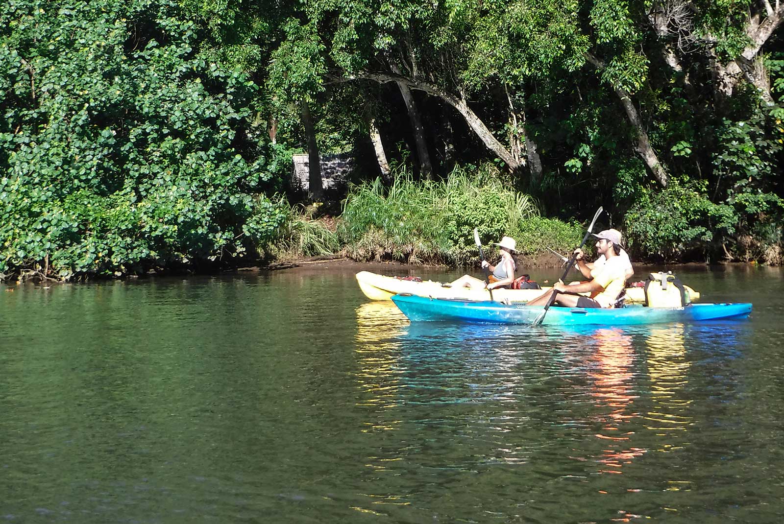 Wailua River Paddle Tour