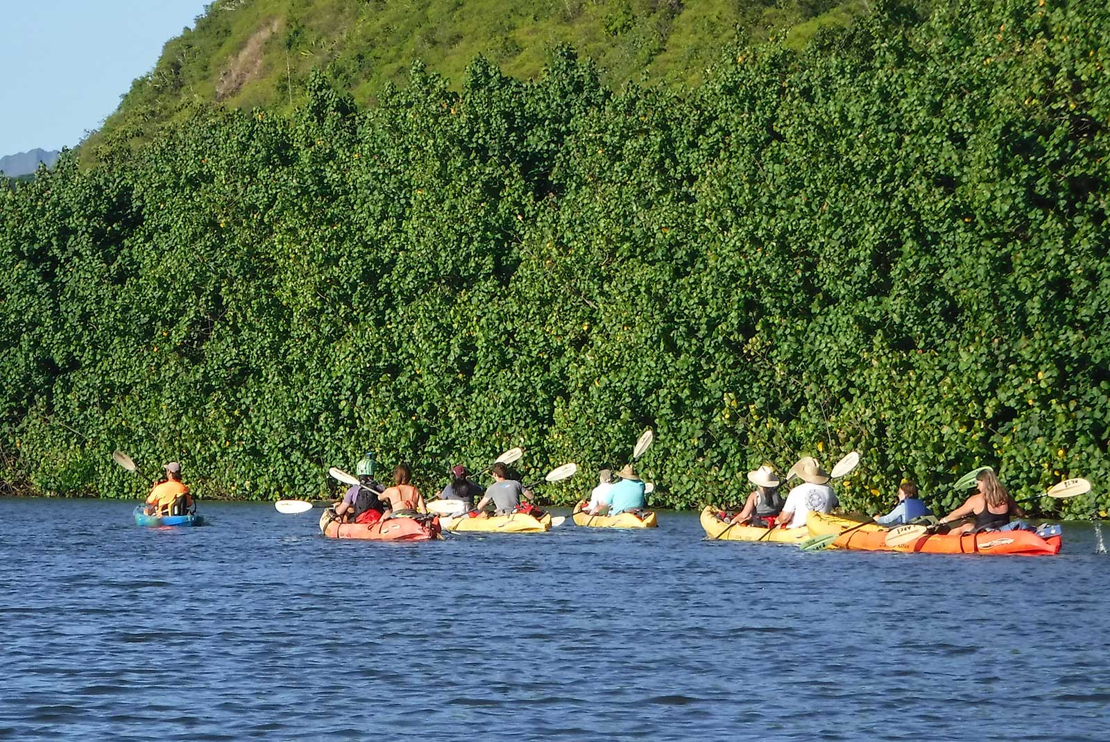 Wailua River Paddle with Friends!