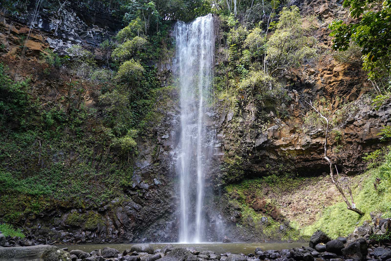 Sacred Falls Wailua Kauai