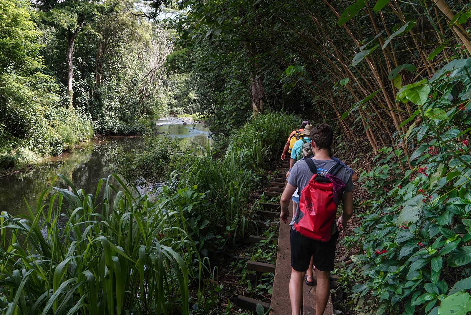 Wailua Sacred Falls Boardwalk