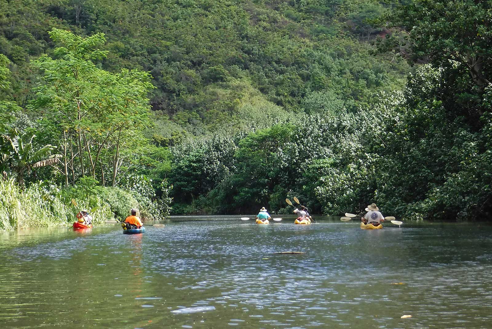 Wailua Sacred Falls on the River