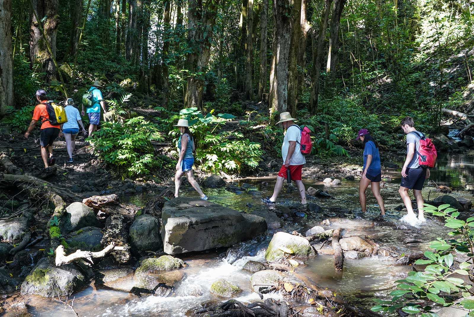 Wailua Sacred Falls on the Trail!