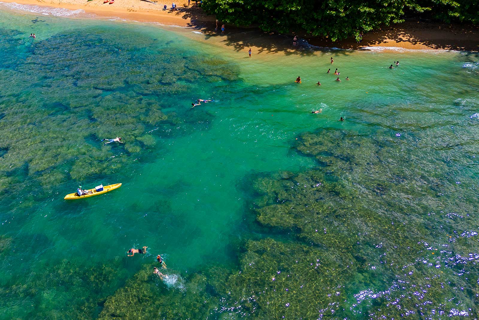 Hanalei Kayaking Tour Blue Lagoon Tour