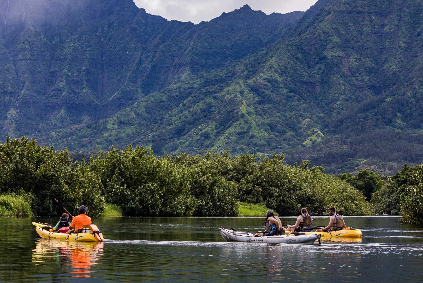 Hanalei Kayaking Tour River Paddling