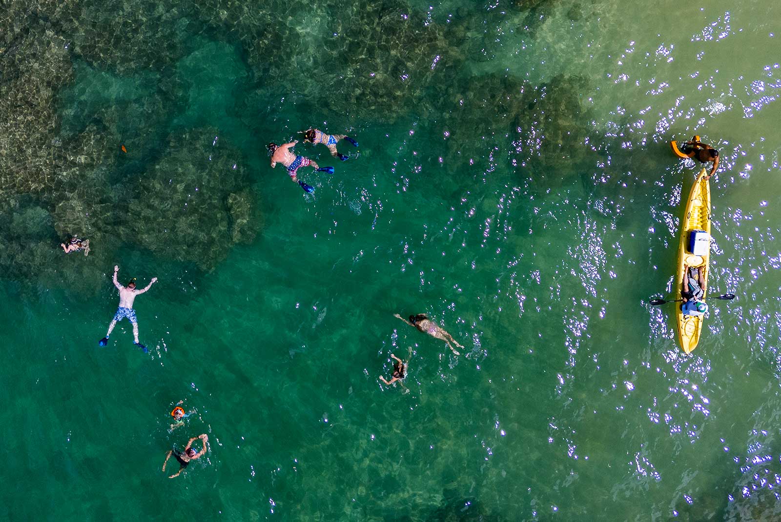 Hanalei Kayaking Tour at the Blue Lagoon