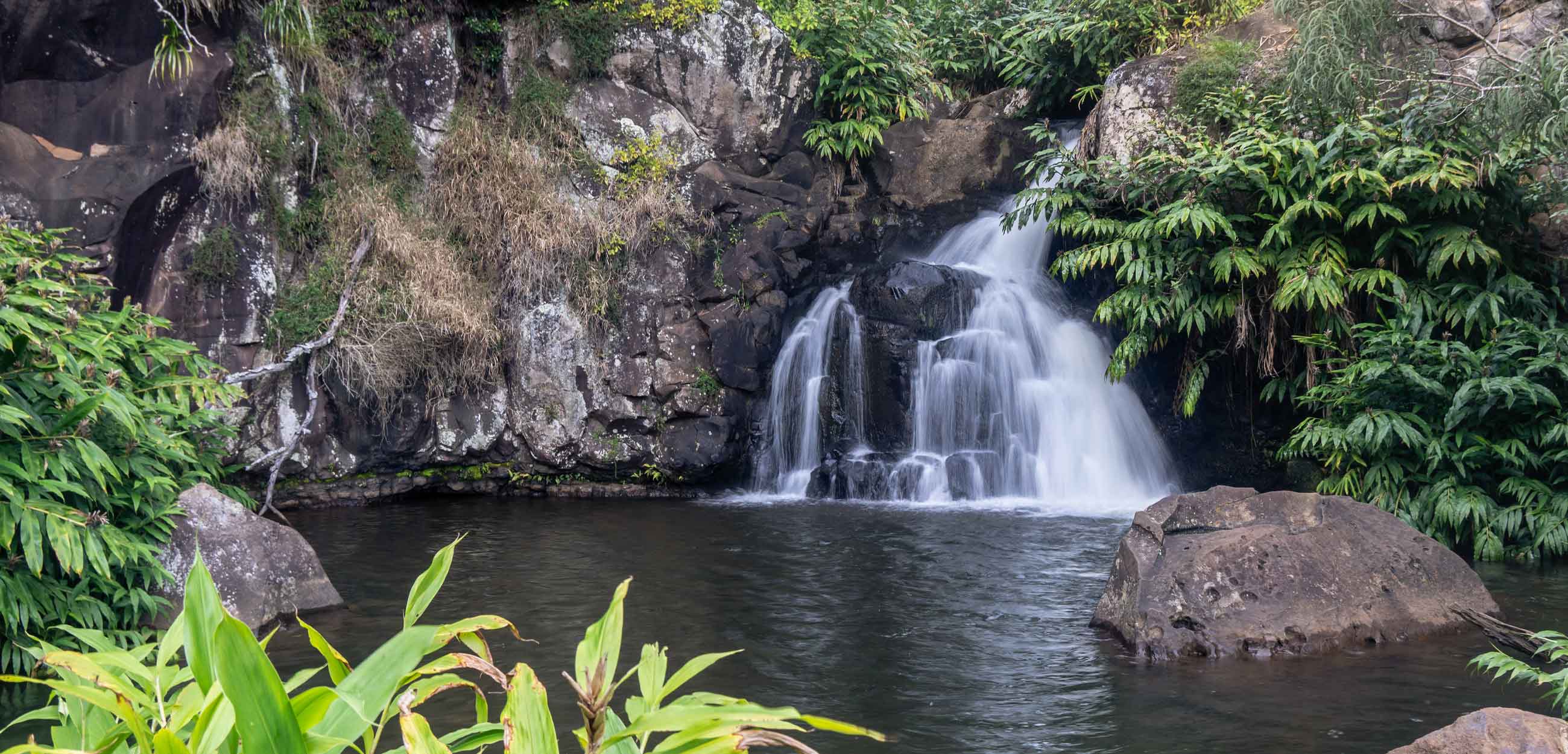 Kauai Hiking Tours