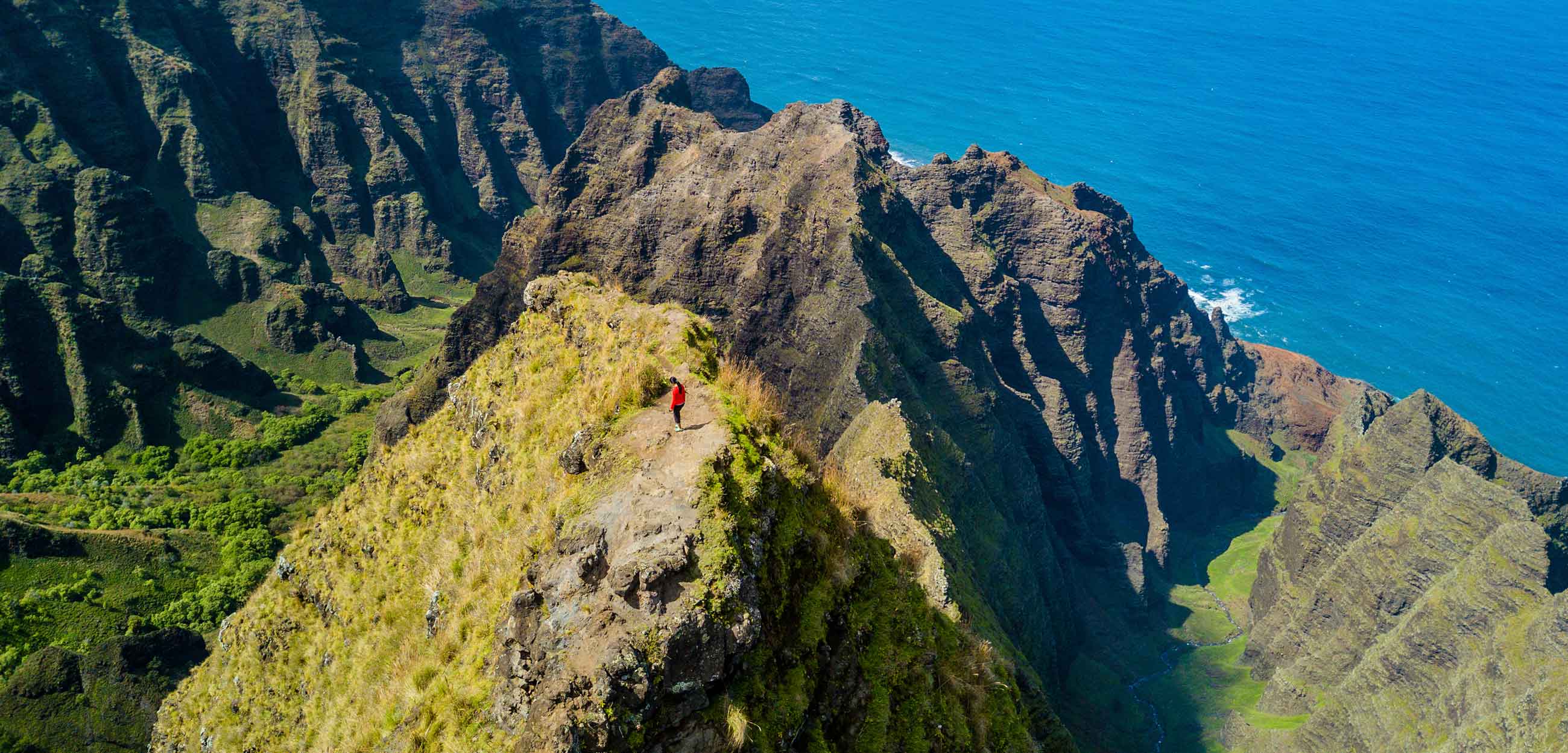 Kokee Awaawapuhi Guided Hike