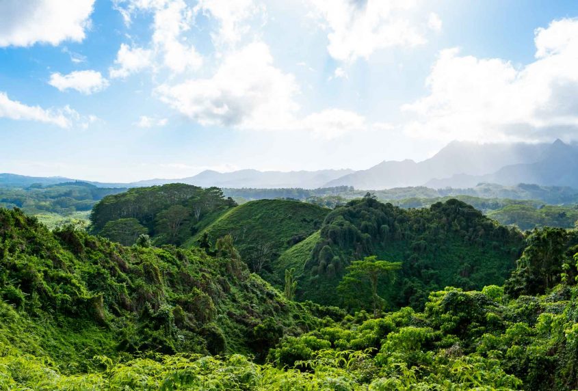 Kuilau Ridge Guided Hike