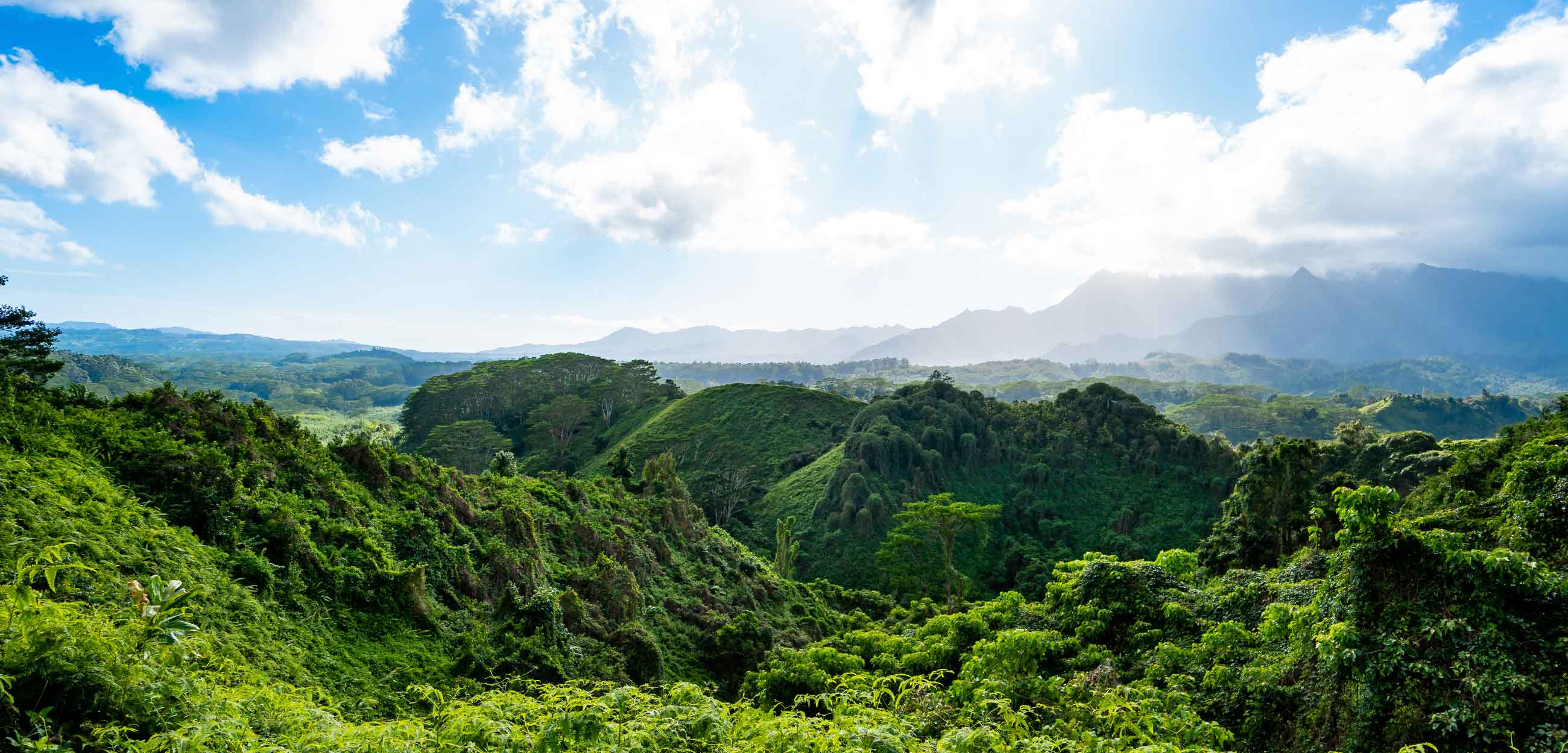 Kuilau Ridge Guided Hike