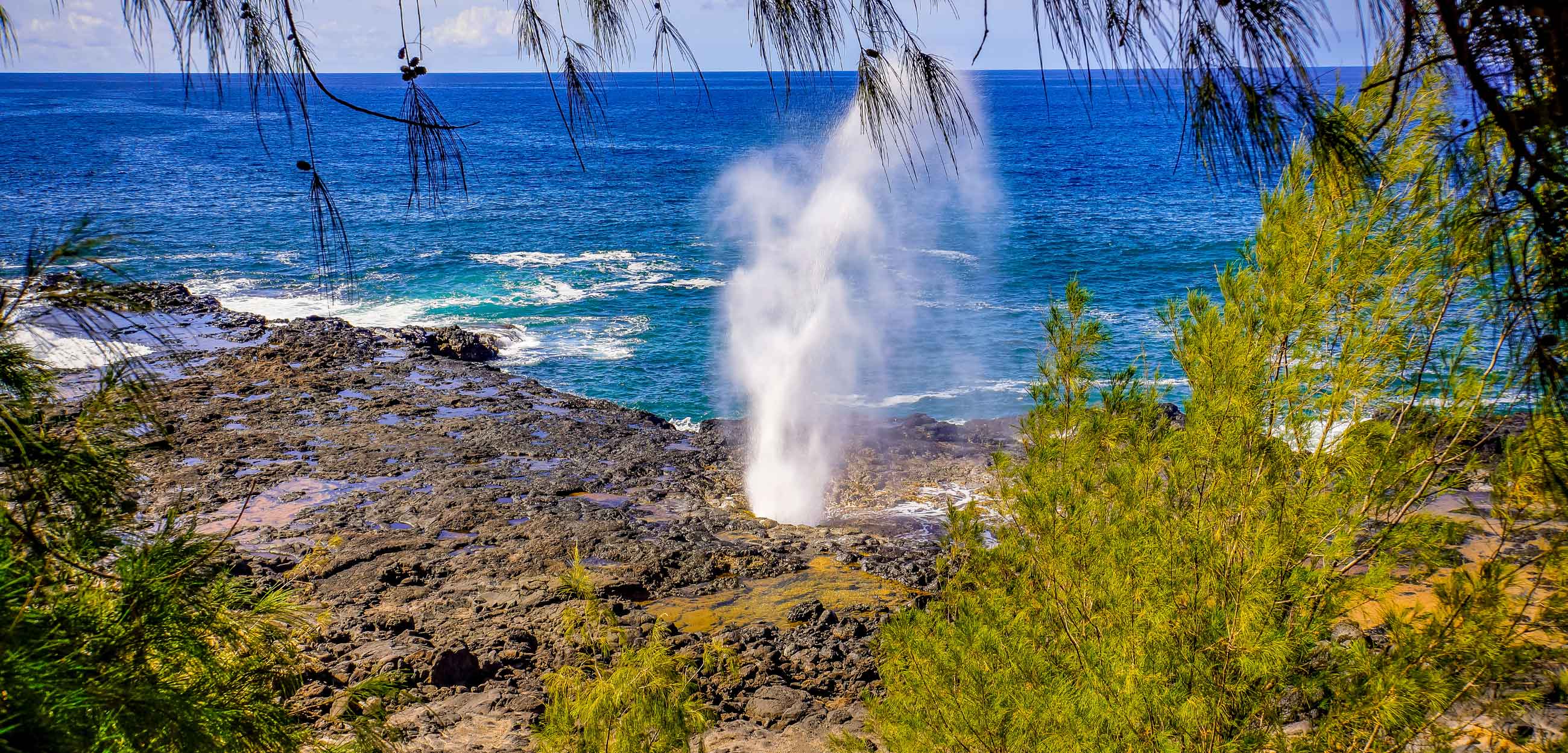 Poipu Winter Kayaking Tours